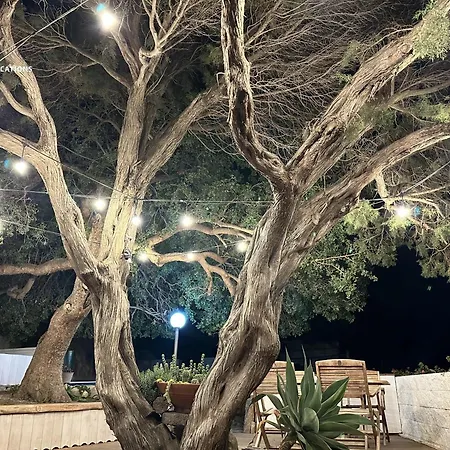 Le Terrazze Di Solanas - Belocations Solanas (Cagliari)